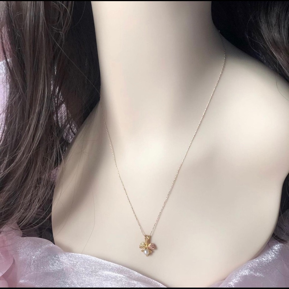 Necklace 10K fine fold with black hills gold